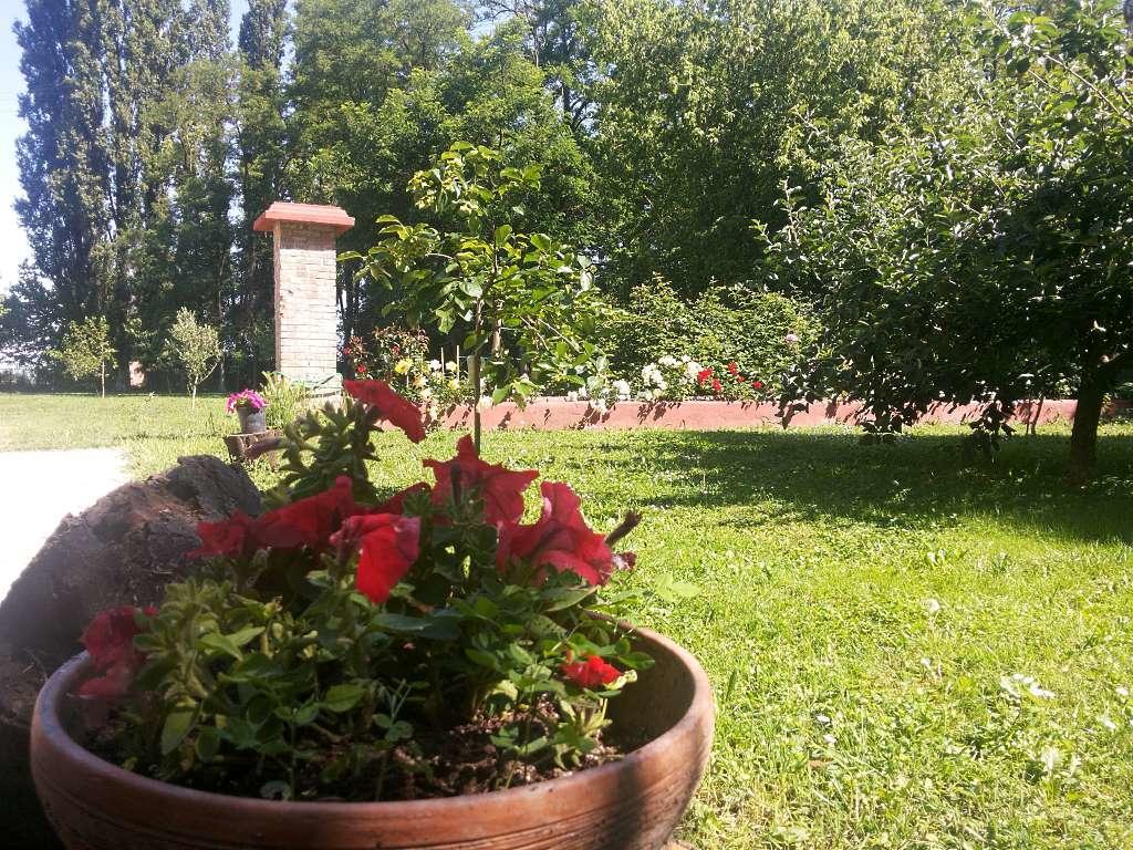 Casumaro Alloggio Agrituristico Dodici-Apostoli מראה חיצוני תמונה